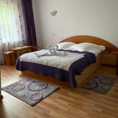 Pensiunea Denisa Preda